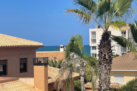 5 chambres House à Torrevieja, Spain No. 109839