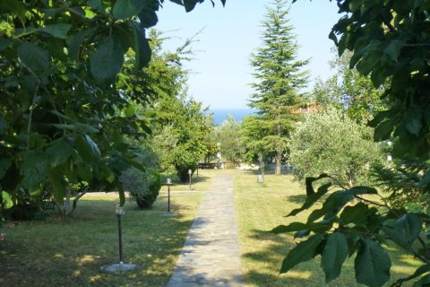 Вилла с 3 спальнями в Пиерия, Греция №60245 21