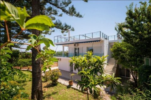 9 rooms Business in Chania, Greece No. 55632 9