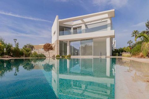 Вилла с 4 спальнями в Пейя, Кипр №77954 1