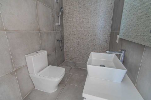 Вилла с 4 спальнями в Пейя, Кипр №77954 13