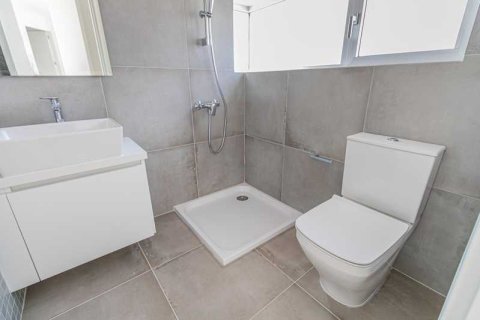 Вилла с 4 спальнями в Пейя, Кипр №77954 12