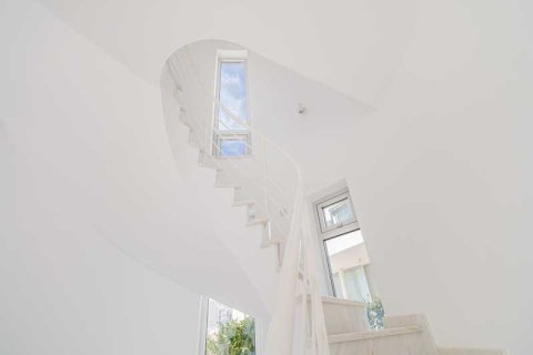 Вилла с 4 спальнями в Пейя, Кипр №77954 5