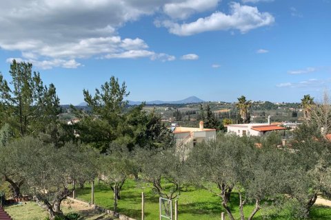 540m² House in Oropos, Greece No. 56599 22