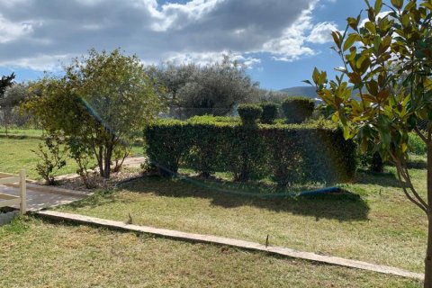 540m² House in Oropos, Greece No. 56599 4