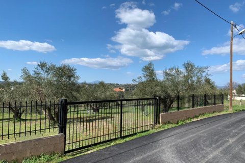 540m² House in Oropos, Greece No. 56599 27