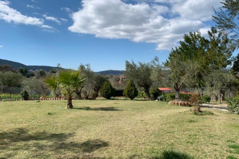 540m² House in Oropos, Greece No. 56599 5