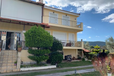 540m² House in Oropos, Greece No. 56599 3