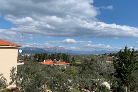 540m² House in Oropos, Greece No. 56599 8