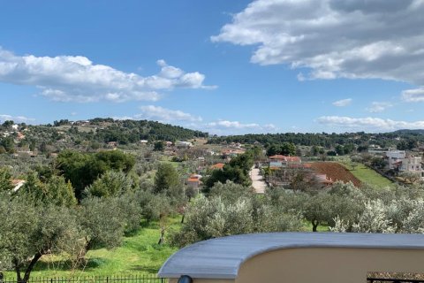 540m² House in Oropos, Greece No. 56599 9