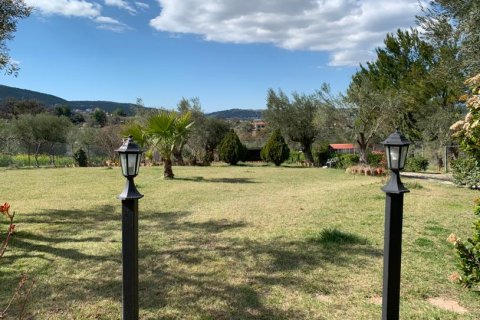 540m² House in Oropos, Greece No. 56599 11