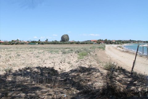 21200m² Land in Chalkidiki, Greece No. 109731 2