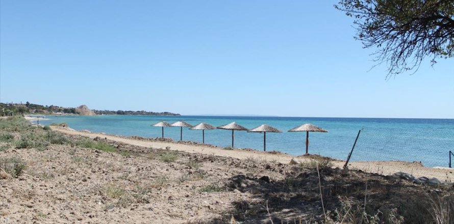 21200m² Land in Chalkidiki, Greece No. 109731