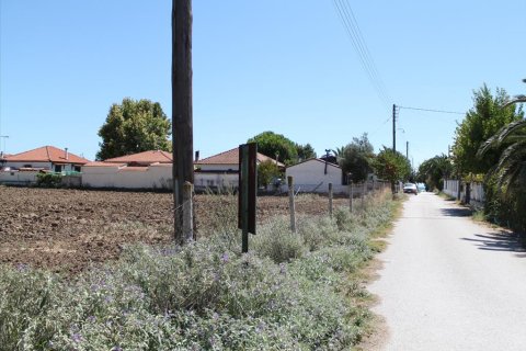 21200m² Land in Chalkidiki, Greece No. 109731 8
