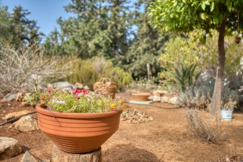 3 bedrooms Villa in Chania, Greece No. 72065 10