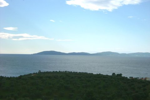 16728m² Land in Chalkidiki, Greece No. 60568 3