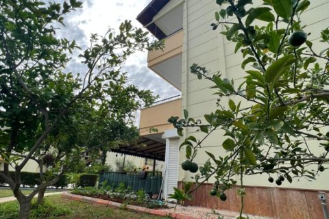 3 bedrooms Villa in Nong Ha, Vietnam No. 13718 20