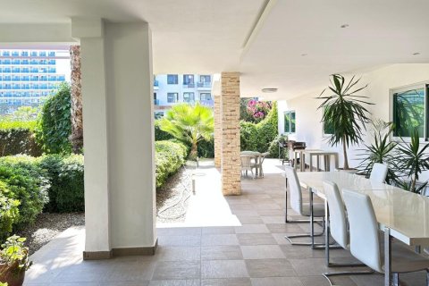 3 rooms Apartment in Tri Phuong, Vietnam No. 21505 4