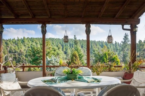 3 bedrooms Maisonette in Chalkidiki, Greece No. 54769 22