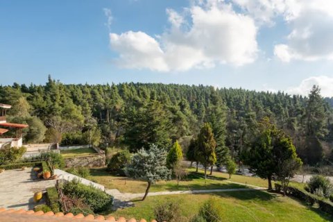 3 bedrooms Maisonette in Chalkidiki, Greece No. 54769 5