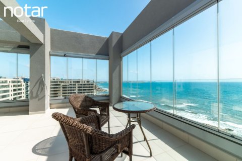 Studio Appartement à Torrevieja, Spain No. 126873