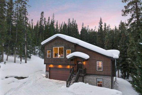 3 chambres House à Breckenridge, USA No. 79793 3