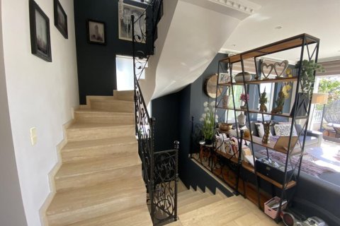 6 rooms Villa in Phong Thanh Tay A, Vietnam No. 21307 10