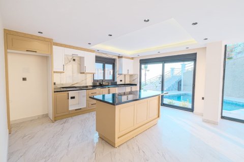 4 dormitorios Villa en Chau Lang, Vietnam No. 15916 2