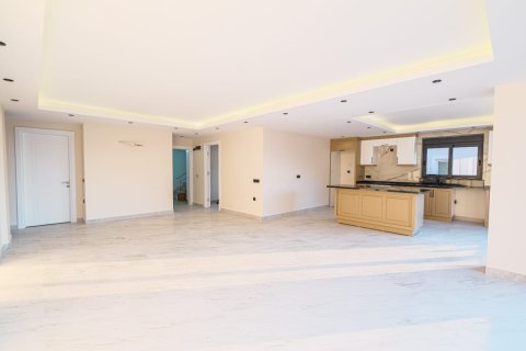 4 dormitorios Villa en Chau Lang, Vietnam No. 15916 8