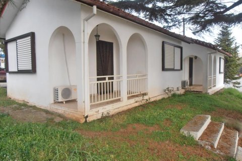 14 rooms Hotel in Pieria, Greece No. 60512 5