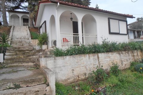 14 rooms Hotel in Pieria, Greece No. 60512 7