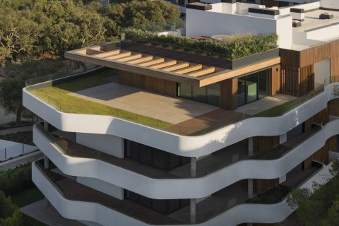 3 bedrooms Penthouse in Tan Quang, Vietnam No. 27276 29