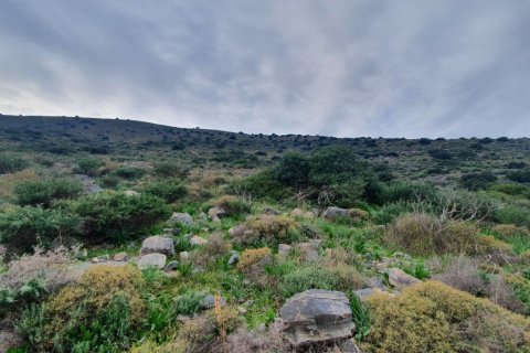 5340m² Land in Lasithi, Greece No. 56406 4