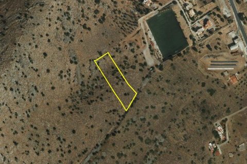 5340m² Land in Lasithi, Greece No. 56406 5