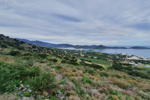 5340m² Land in Lasithi, Greece No. 56406 2