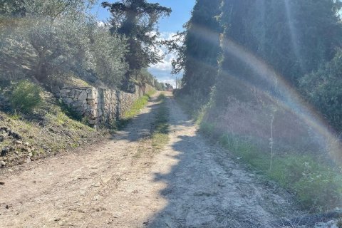 6350m² Land in Vamos, Greece No. 109467 5