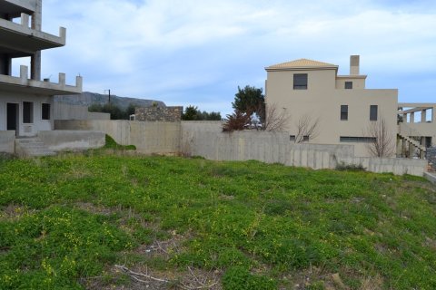 6 bedrooms Business in Gazi, Greece No. 57653 3