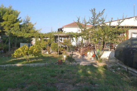 6 bedrooms House in Zakynthos, Greece No. 24502 11