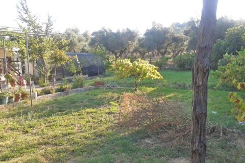 6 bedrooms House in Zakynthos, Greece No. 24502 21