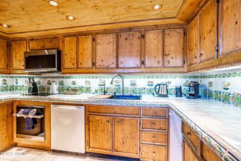 3 bedrooms Condo  in Vail, USA No. 62061 9