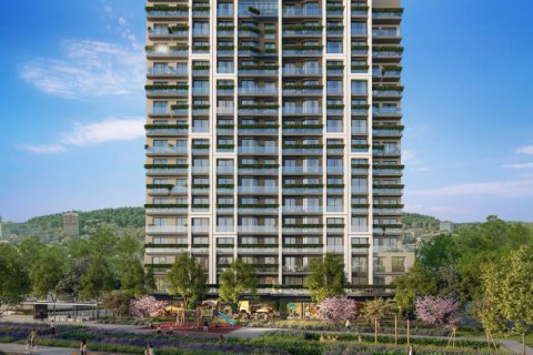 1 chambre Appartement à Bach Long Vi, Vietnam No. 15051 1