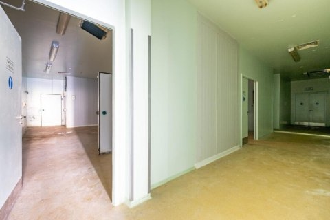 1210m² Commercial property in Paphos, Cyprus No. 105054 3