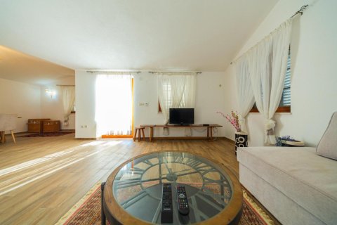 5 bedrooms Villa in Budva, Montenegro No. 81130 13