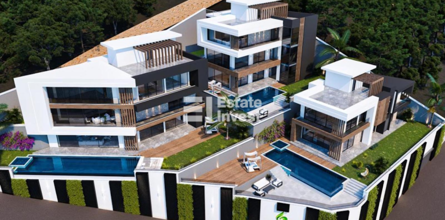 5 dormitorios Villa en Chau Lang, Vietnam No. 115373