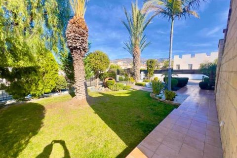 3 bedrooms Villa in Pegeia, Cyprus No. 83241 15