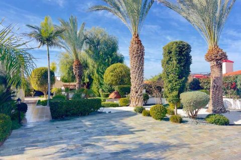 3 bedrooms Villa in Pegeia, Cyprus No. 83241 6