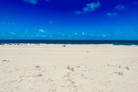 2 chambres Duplex à Barro Preto, Brazil No. 62390 18