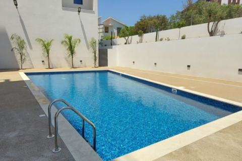 Пентхаус с 3 спальнями в Меса Гитонья, Кипр №66171 9