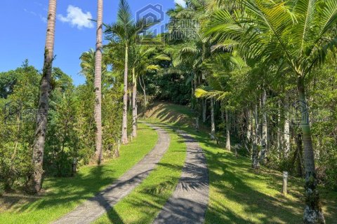 Вилла с 3 спальнями в Пальоса, Бразилия №62399 26