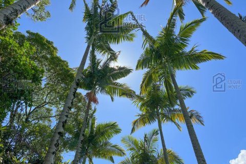 Вилла с 3 спальнями в Пальоса, Бразилия №62399 13